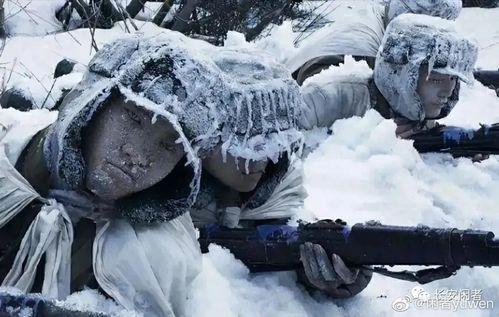 【新山东文学社】《冰雪长津湖，雪与火的曾经》作者/单宝剑 主播/雨花石（图6）