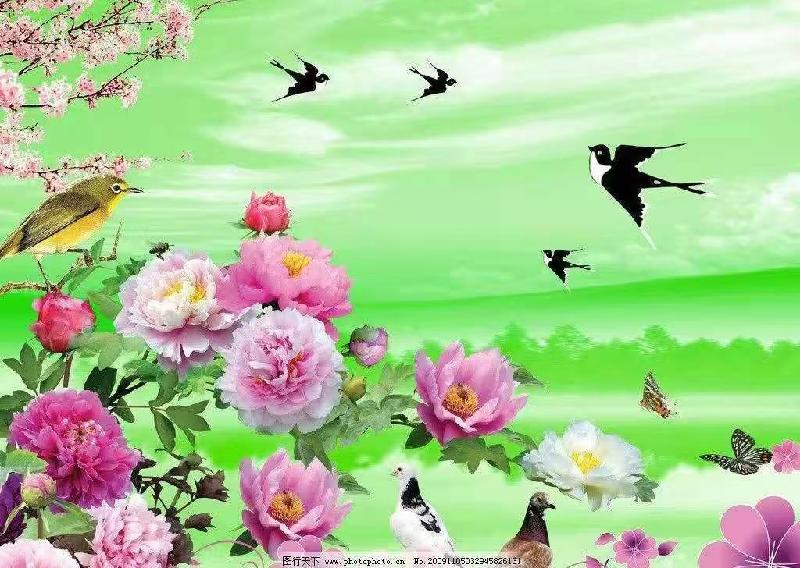 《四川诗人.陈德兴》诗选（图4）