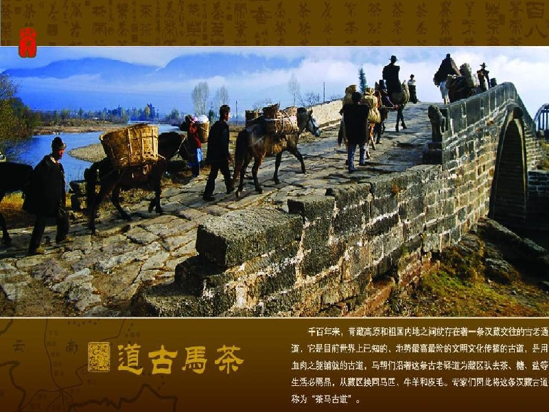 奶茶飘香：作者丁培恭｜海外头条（图4）