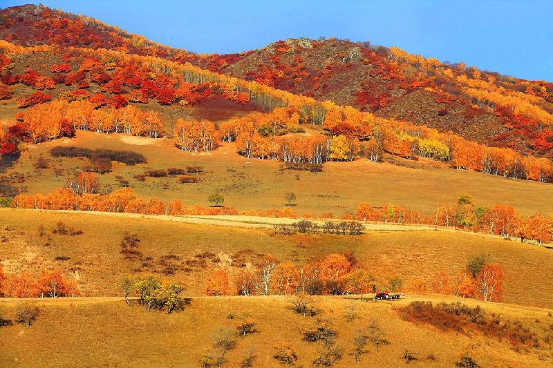 《关中秋景》秋景在门前：文／李建印（陕西西安）（图4）