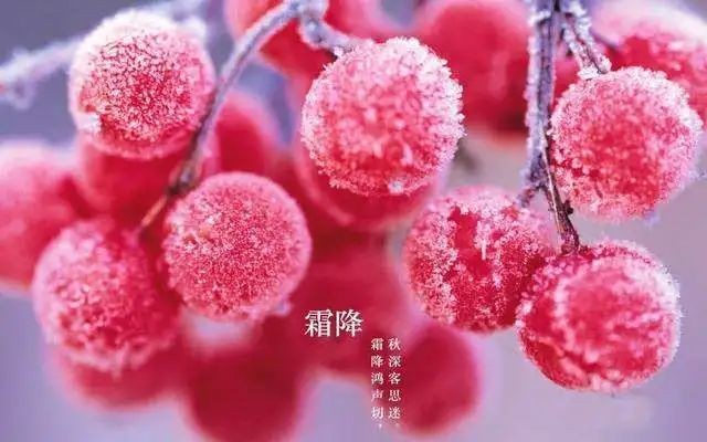 五律.霜降美诗两首：文／马德武（陕西韩城）（图3）