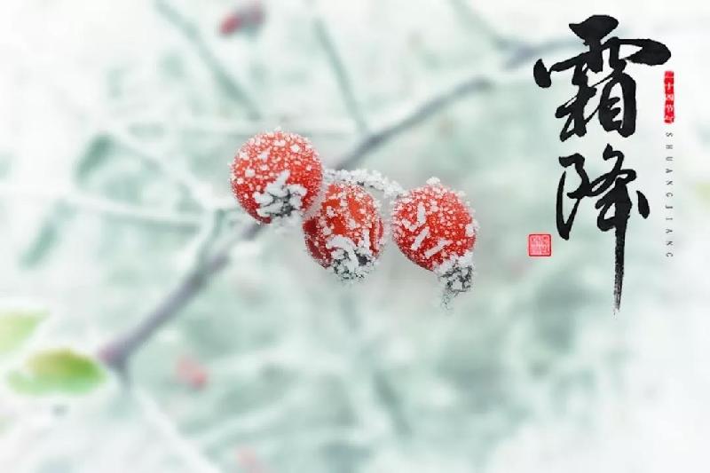 五律.霜降美诗两首：文／马德武（陕西韩城）（图4）