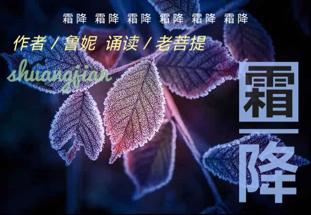 文／鲁妮 ll 霜降 Ⅱ 诵／老菩提（图2）
