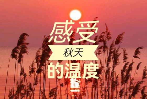 秋歌 ll 作者 郭曰方 ll 诵读 独门太极 红豆(图8)