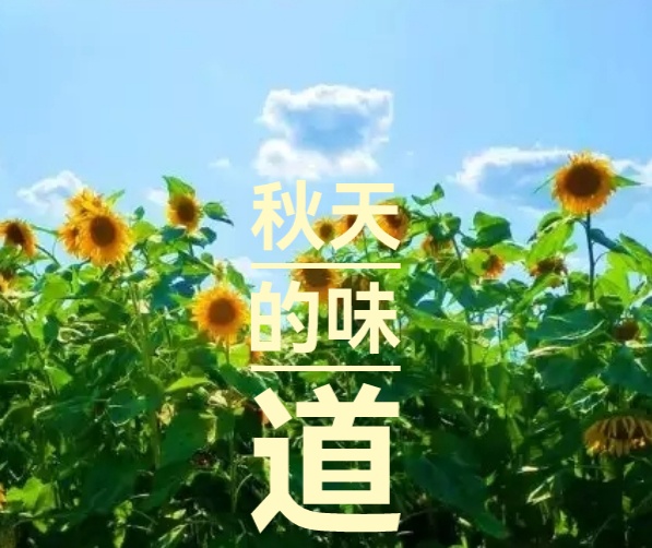秋歌 ll 作者 郭曰方 ll 诵读 独门太极 红豆(图9)