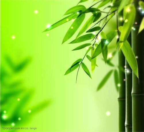 梅蘭竹菊:原创七律十首 文/李文清(北京)【冰心文化传媒】(图11)