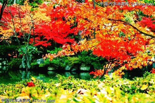 拥你入怀 秋文／陈铠 黑龙江（图3）