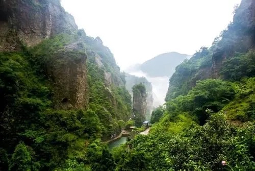现代诗 ·黄山情思（三山五岳组诗十首）作者吴仰生｜海外头条（图6）