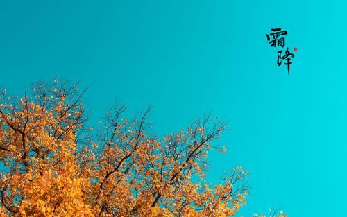 【原创】广东诗人张燕良//七绝•霜降随笔｛三首｝（图4）