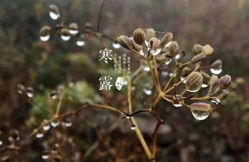 《中国爱情诗刊》 【中国爱情诗人档案】(第3914期)甘肃诗人:薛天柱的诗(图3)