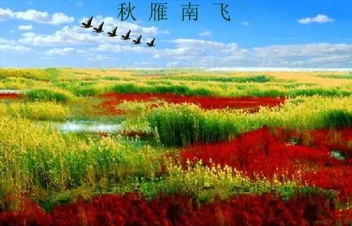 墨语老师倾情演绎六月荷教授的精品佳作：北京的秋｜海外头条（图7）