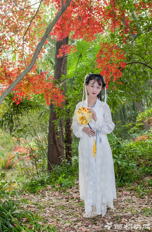 诗朗诵:红枫 作者/执手走天涯 主播/清风 请欣赏(图4)