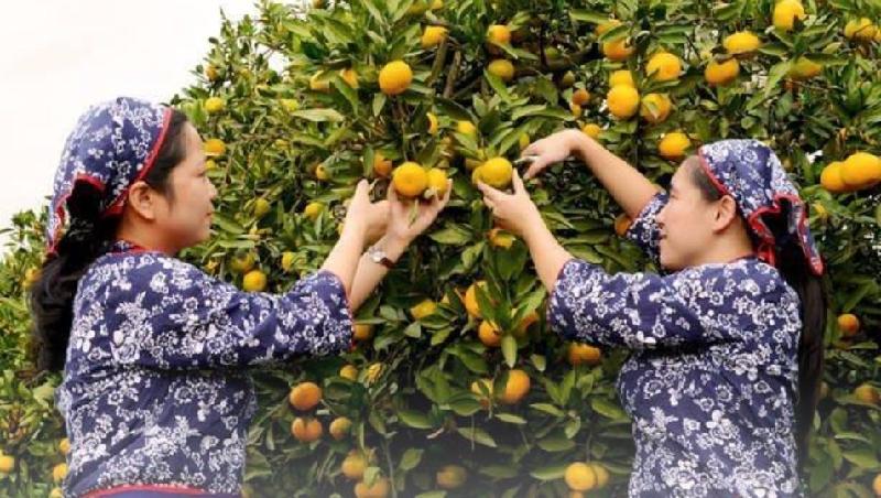 联机全球发布杨会亮精品诗歌（图3）