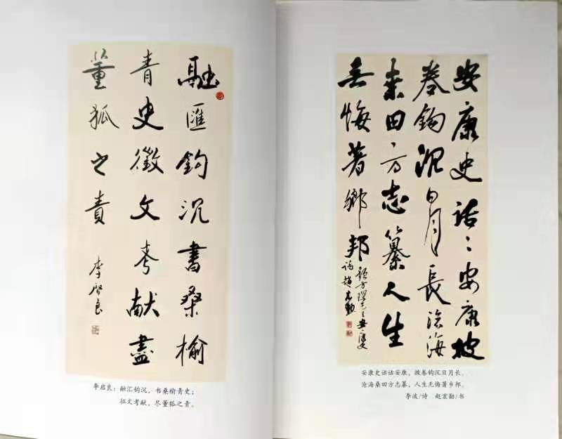 《新书慢谈》“安康史话”的魂与魄:文/李爱霞(陕西安康)(图4)