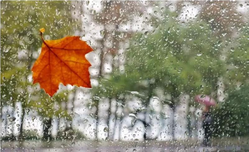 《诗词原创》聆听十月最后一场雨声：文／郭丽侠（陕西韩城）（图6）