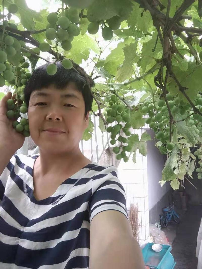 《散文》秋到深处：文／范静红（陕西岐山）（图9）
