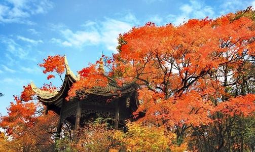 【潇湘文学社】潇湘紫竹诗社《随吟辑》(总204期)(图15)