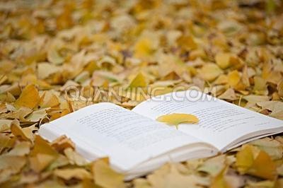 无题(外三首)文/周荣(重庆)【冰心文化传媒】(图4)