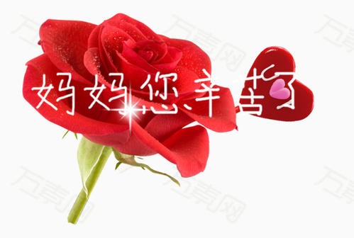 【真情推荐】余兴喜//妈妈｛谨以此文献给妈妈的生日｝（图15）