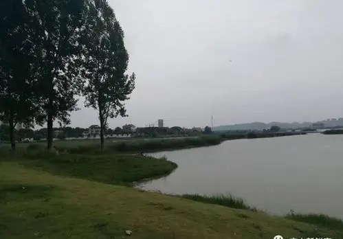 北美翰苑总社ll第01期＜现代诗古体诗合辑＞海外头条（图8）
