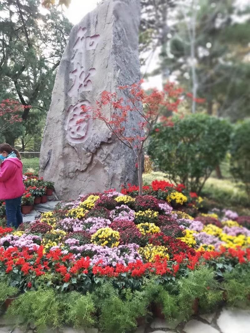 《跟着老韩逛北京六)香山一一三山五园之首:文/韩增怀(陕西韩城)(图5)