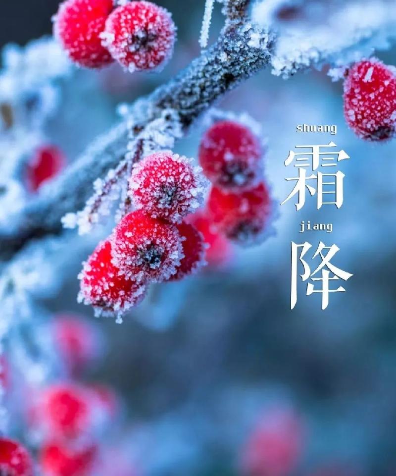 《原创》张庆中诗词三首（甘肃兰州）（图7）