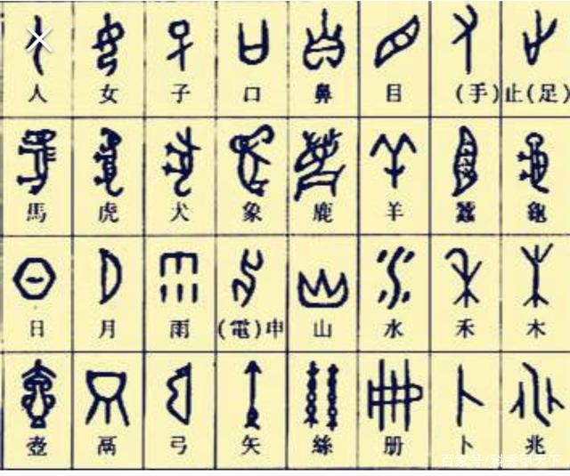 自然成长（外一首）文／陈铠 黑龙江【冰心文化传媒】（图7）