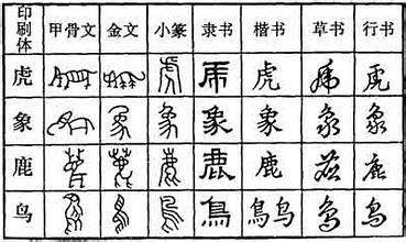 自然成长（外一首）文／陈铠 黑龙江【冰心文化传媒】（图8）
