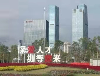 深圳人才公园：作者丁培恭｜海外头条（图9）