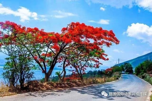 《江南诗絮.现代周刊》0253（图11）
