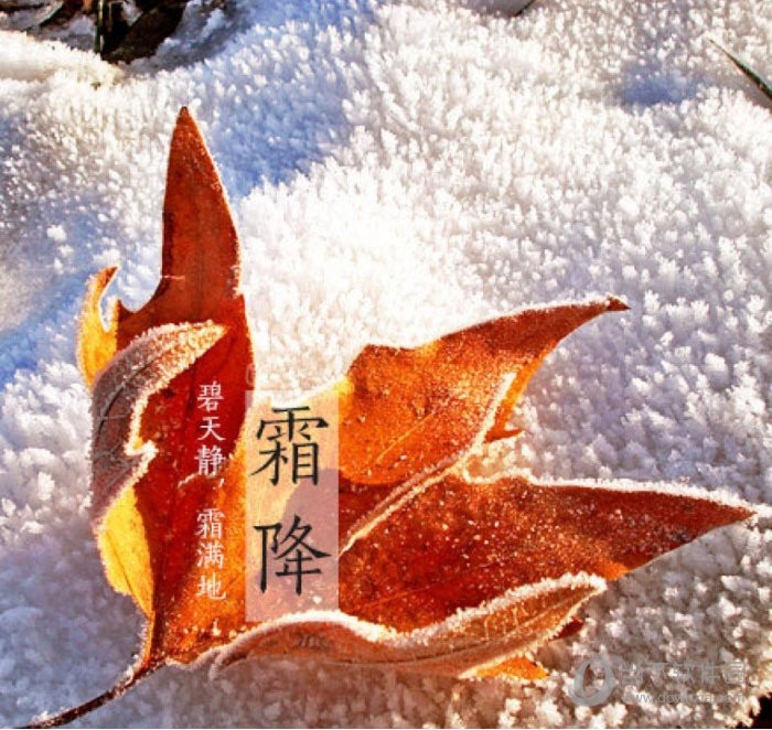 【潇湘文学社】潇湘如兰诗社《霜降》(总205期)(图14)