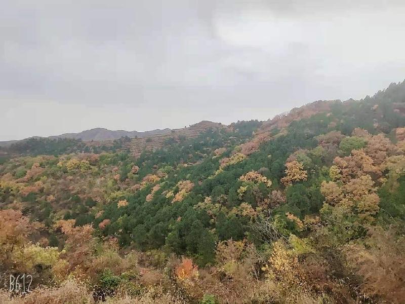 《纪实散文》赏秋:文/张朝侠(陕西韩城)(图3)