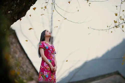 林轩老师倾情演绎墨轩老师的作品:故乡情|海外头条(图4)