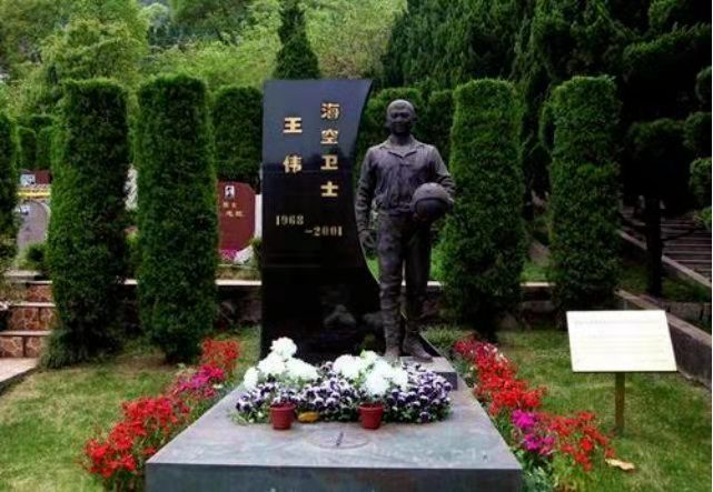 海空卫士 王伟：作者丁培恭｜海外头条（图4）