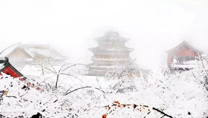 《诗词原创》绿色远方＋雪恨：文／袁小利 焦锐（甘肃兰州）（图5）