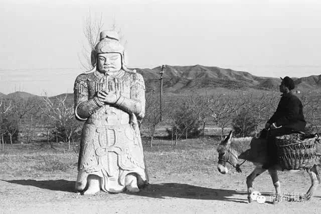 《拼死拼活救母亲(上)》 作者//毕井芝 朗诵//红叶(图6)