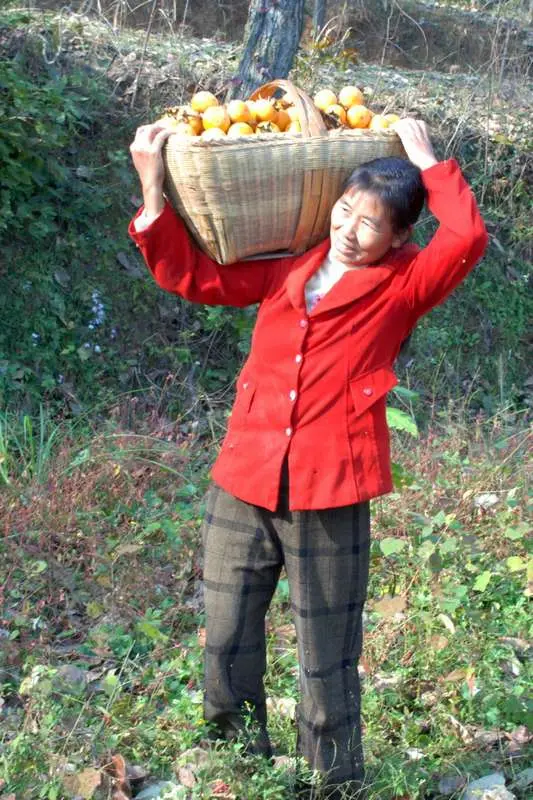薛有毅:精彩绝句 请欣赏(图4)