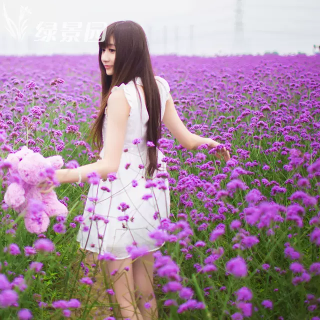 《随笔》做一个温暖的人：文／何俊锋（陕西西安）（图3）