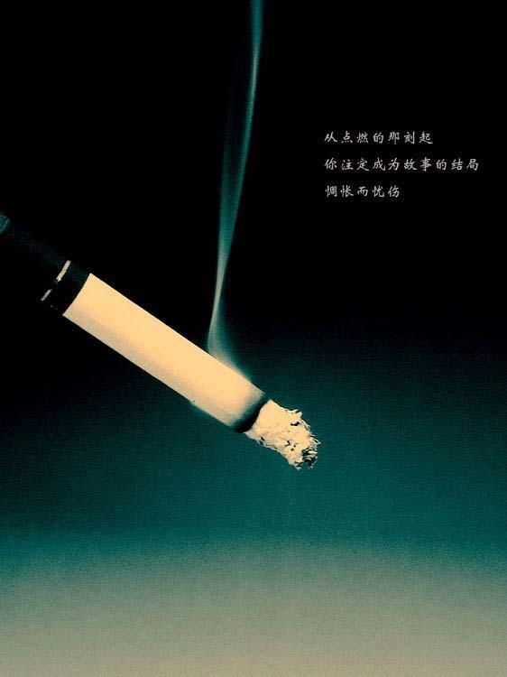 〔现代诗〕今夜,我点上一支 作者 原野〔河南〕朗诵 陈兵 【冰心文化传媒】(图5)