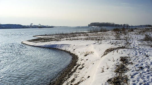 松花江高殿文（图2）