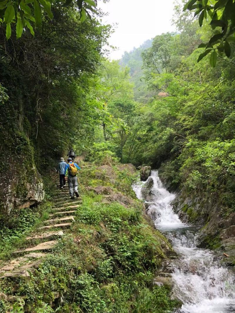 七绝 登山感怀（新韵）文/荷塘（图2）