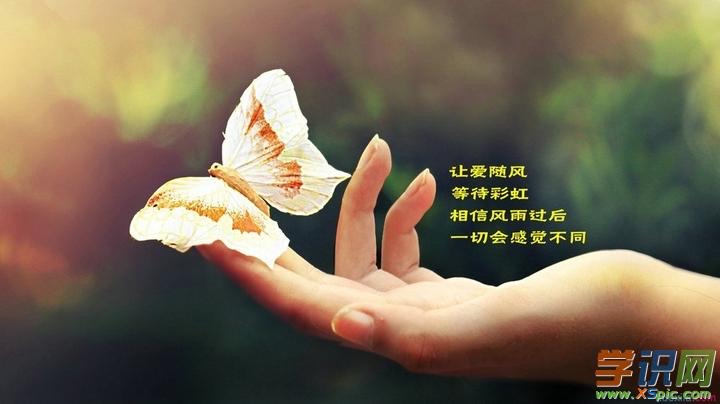 金句 外一首：作者纤夫｜海外头条（图3）