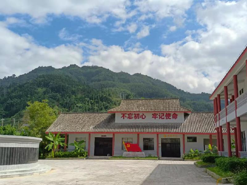 李祖龙:永远的芳华(图4)