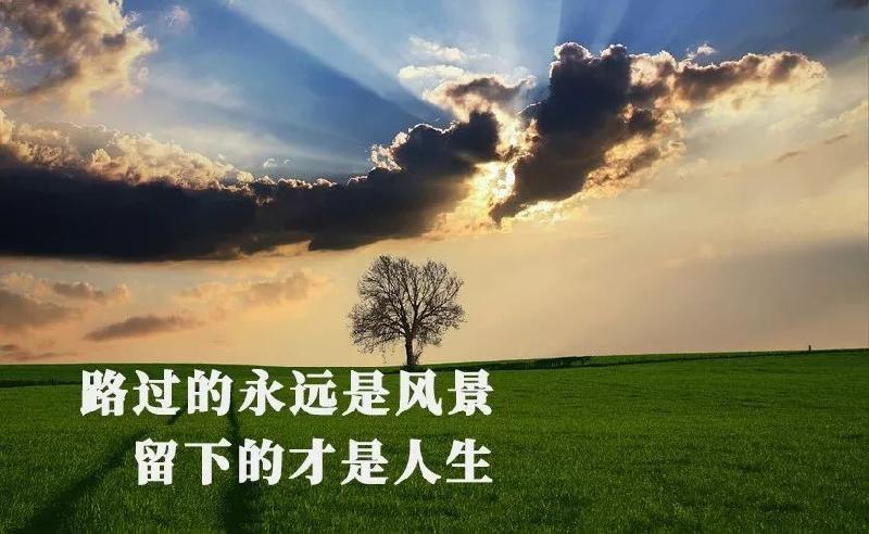 【翰林国粹楹联社】第254期同题作品汇编(图20)