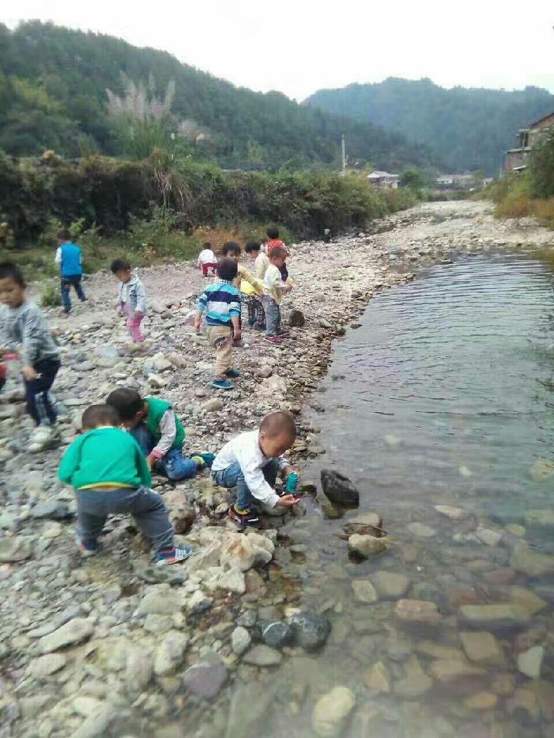 于向阳诗歌《梦中的仙蝶与蜜蜂》主播：上善若水 编辑：香乡【北疆头条】（第095期）（图3）