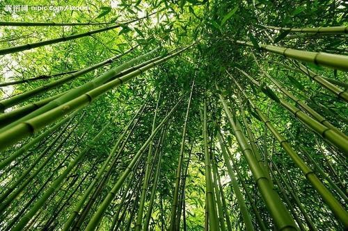 联机全球发布谢达安精品诗歌欣赏（图4）