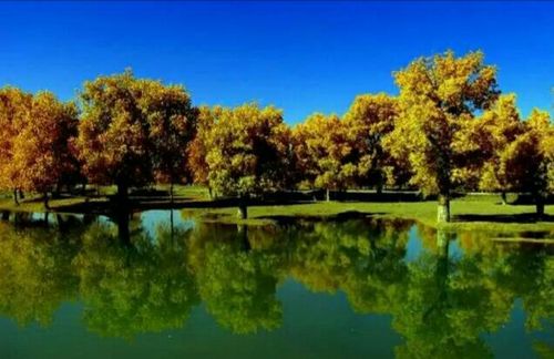 《江南诗絮.现代周刊》0254（图12）