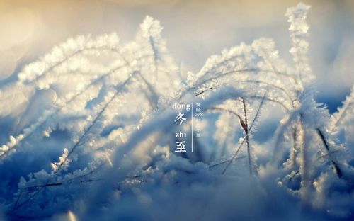 樂安老师佳作欣赏！（图4）