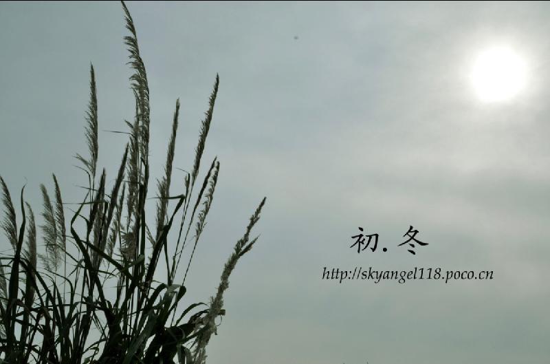 【新诗大观】初冬||文/花惜柔（图4）