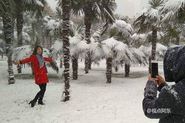 《立冬》瑞雪初下：文／李建印（陕西西安）（图4）